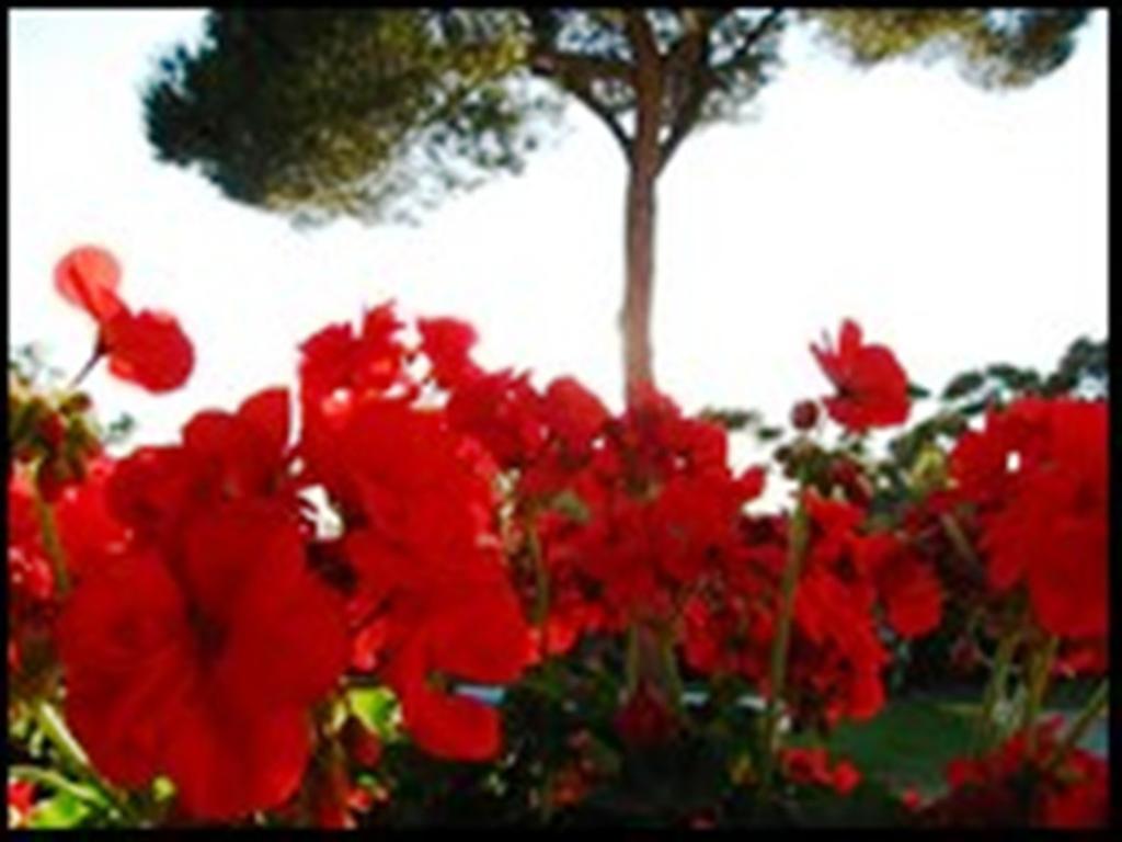 Bed and Breakfast La Tangana Rognes Zewnętrze zdjęcie